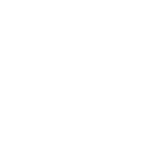 Carved Hairsticks logo